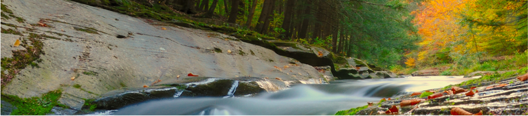 Banner 2 Stream banner image