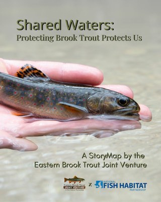 Experience our StoryMap: Shared Waters!