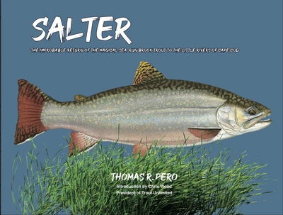 RIVER WALKS AND SALTER BROOK TROUT