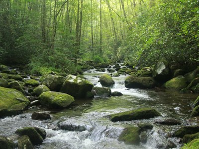 Photo of Lynn Camp Prong in Smoky Mountain National Park in Tennessee.